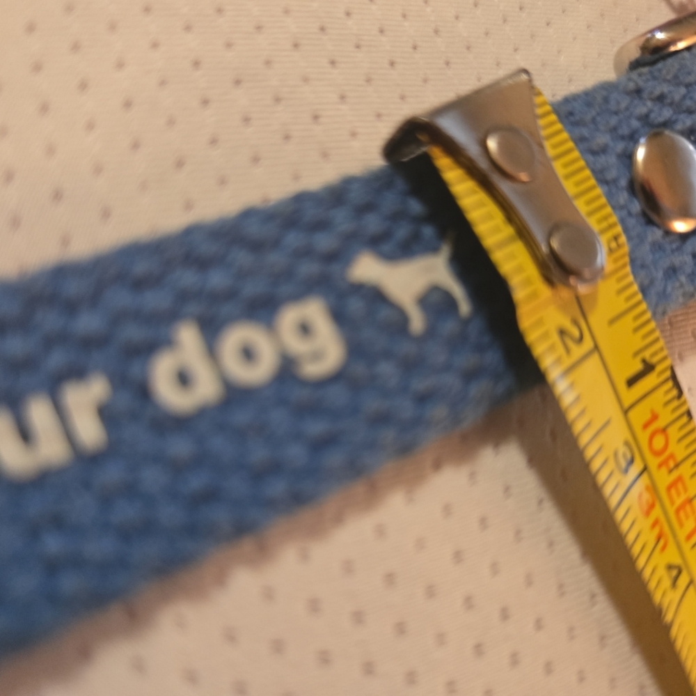 Very rare dog collar from Victoria's Secret Pink - Picture 9 of 10